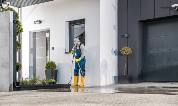 Best Roof Washing  in Cisco, TX